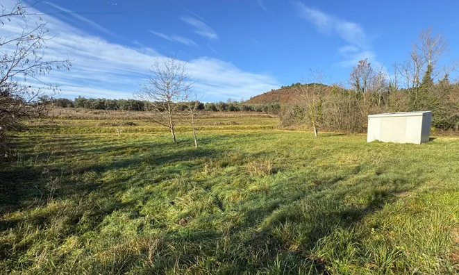 Недвижимость Dragonja Estate and Farm: 1