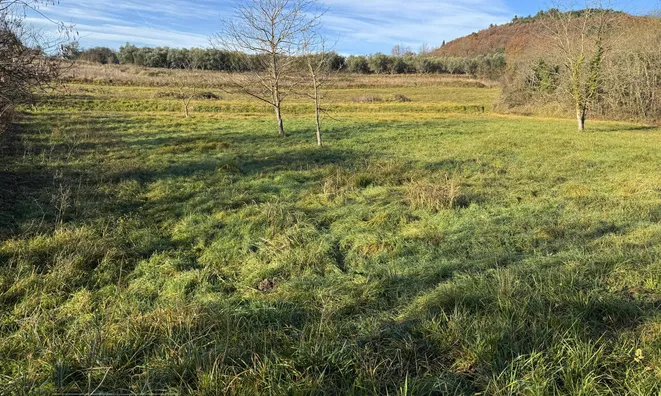 Недвижимость Dragonja Estate and Farm: 2