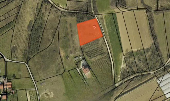 Недвижимость Dragonja Estate and Farm: 3