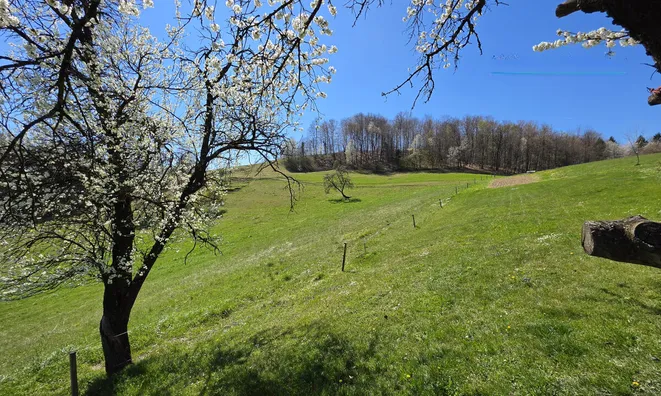 Недвижимость Estate, Drobinskiy's farm.: 17