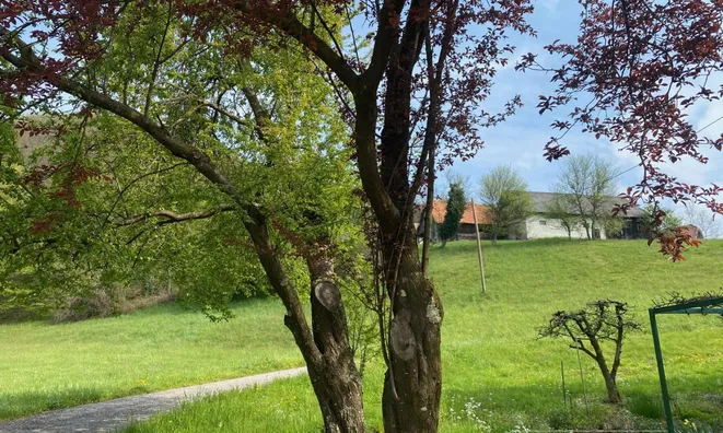 Недвижимость House in Kozmintsy, Podleznik: 14