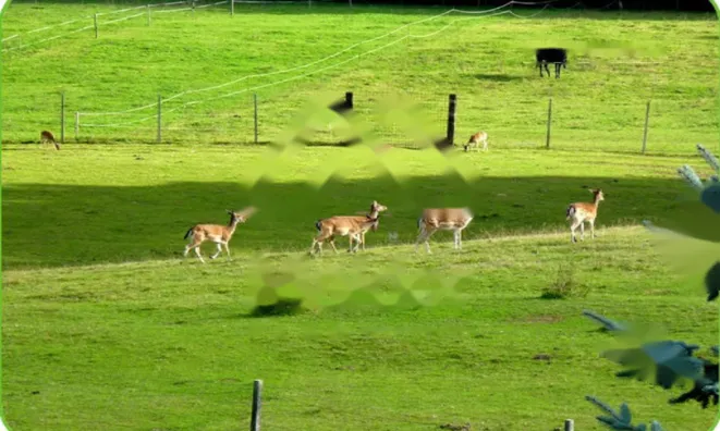 Недвижимость Дом в Верхней Липнице: 2