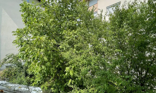 Недвижимость House with Terrace New Ljubljana Šiška: 5