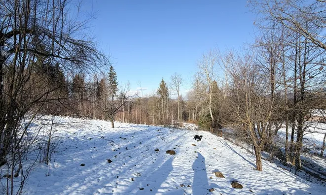 Недвижимость House Javor Ljubljana Dobrunje: 8