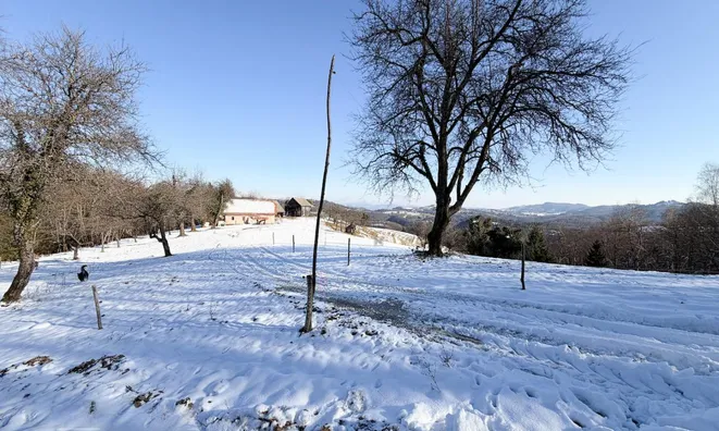 Недвижимость House Javor Ljubljana Dobrunje: 9