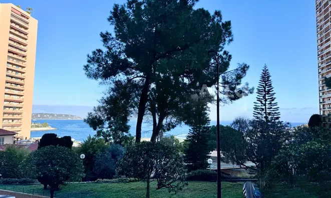 Недвижимость Apartment Monaco, Monte-Carlo: 13