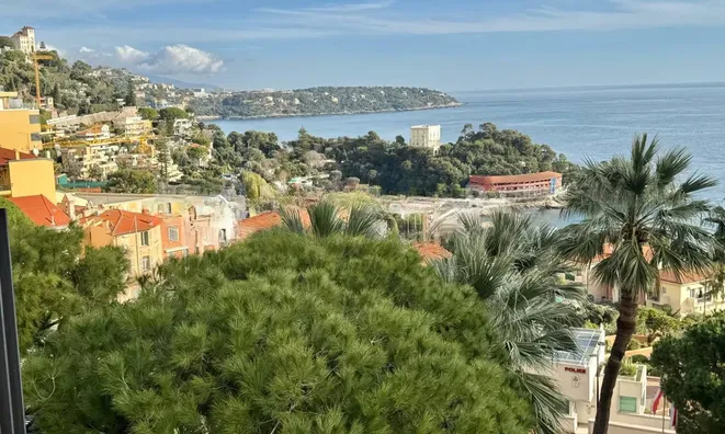 Недвижимость Apartment Monaco, La Rousse: 11
