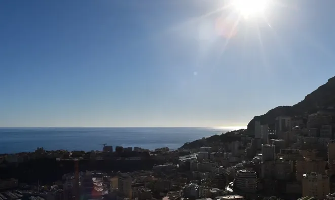 Недвижимость Apartment Monaco, Jardin Exotique: 10
