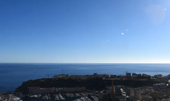 Недвижимость Apartment Monaco, Jardin Exotique: 11