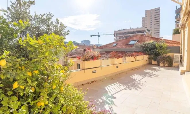 Недвижимость Apartment Monaco, Carre d'Or: 12