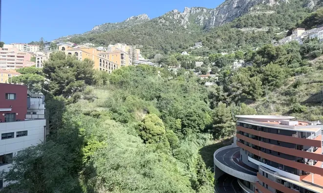 Недвижимость Apartment Monaco, La Rousse: 7