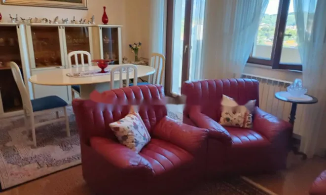 Недвижимость Трехкомнатная в центре Горички: 8