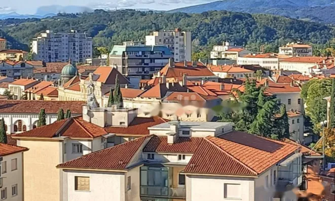 Недвижимость Трехкомнатная в центре Горички: 28