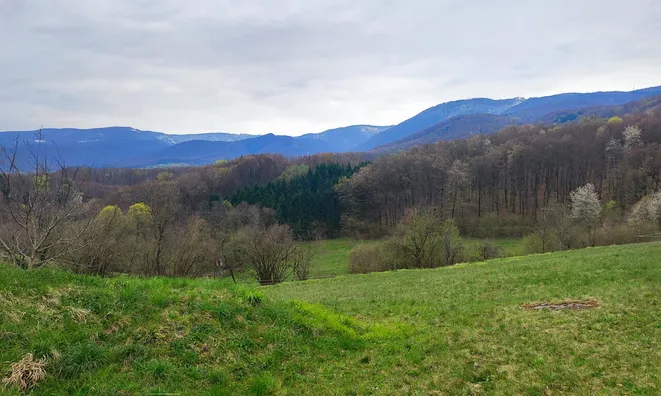 Недвижимость Tolsty Vrk Estate and Farm: 4