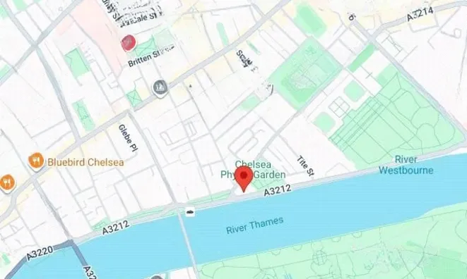Недвижимость Chelsea Embankment, Chelsea: 11