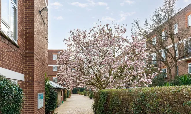 Недвижимость Chelsea Manor Court, Chelsea Manor Street: 5