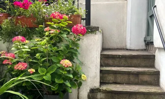 Недвижимость Finborough Road, Earls Court: 4