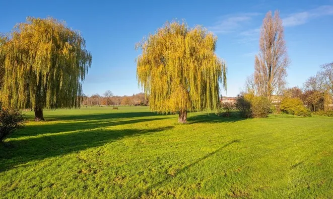 Недвижимость Oman Avenue, Gladstone Park: 2