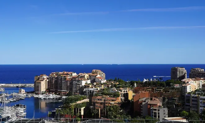 Недвижимость Apartment Monaco, Jardin Exotique: 4