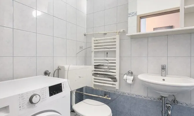 Недвижимость Apartment, 1-room Shishka: 9