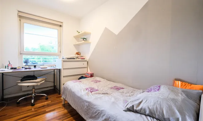 Недвижимость 3-room apartment, Nova Trnova: 14