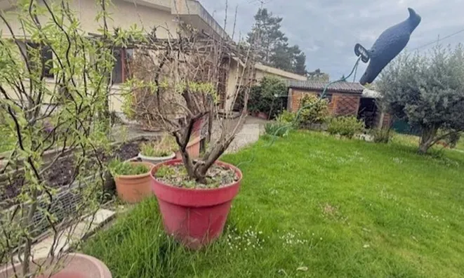 Недвижимость Single house 8.5 rooms: 4