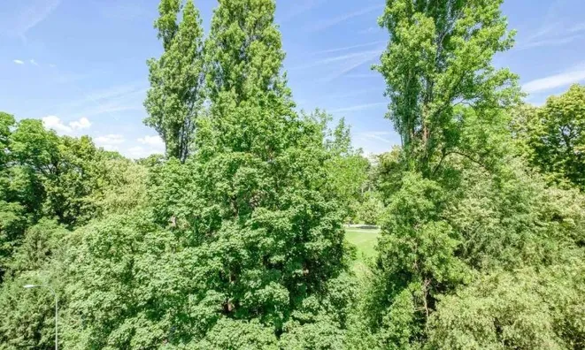 Недвижимость Apartment 2 rooms: 7