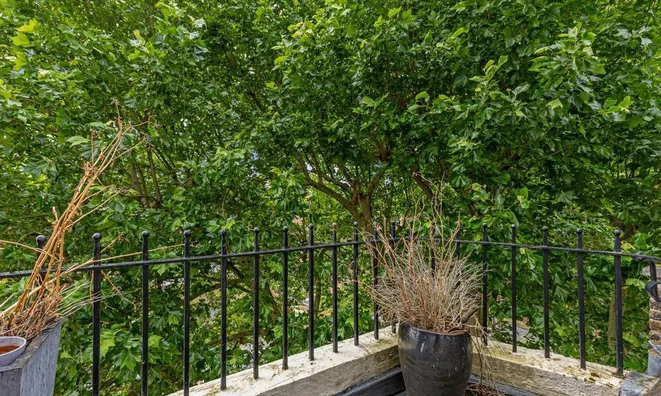 Недвижимость Cliveden Place: 2