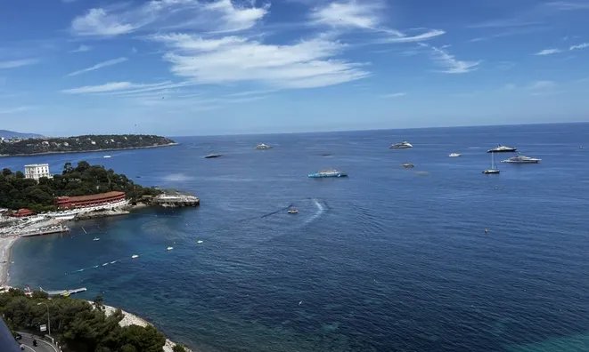 Недвижимость Apartment Monaco, La Rousse: 1