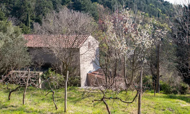 Недвижимость House, Portorož: 8