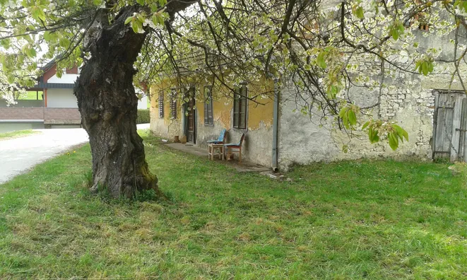 Недвижимость Topoly Estate, Tekachevo: 1