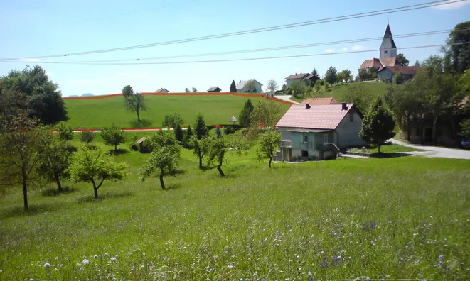 Недвижимость Topoly Estate, Tekachevo: 3