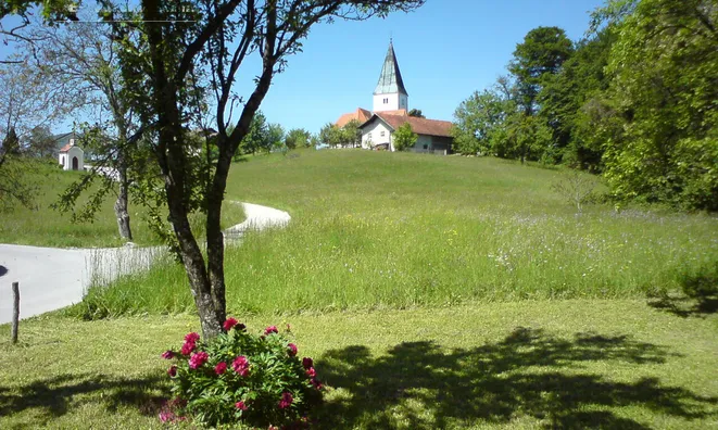 Недвижимость Topoly Estate, Tekachevo: 4