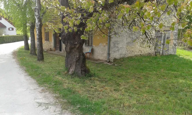 Недвижимость Topoly Estate, Tekachevo: 9