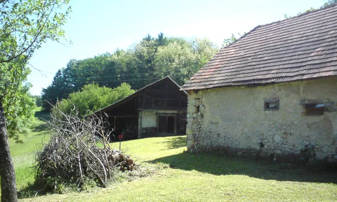 Недвижимость Topoly Estate, Tekachevo: 10