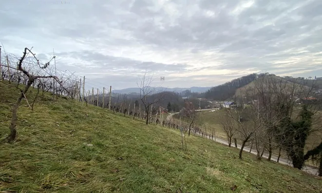 Недвижимость Дом, Градище, Птуйщина: 9