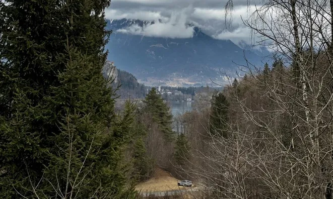 Недвижимость Участок для инвестиций на Бледе: 8