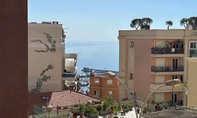 Недвижимость Apartment Monaco, Moneghetti: 2
