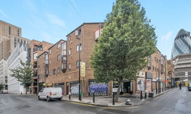 Недвижимость New Goulston Street: 13