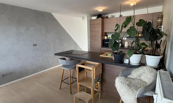 Недвижимость Three-room apartment in Kozje: 2