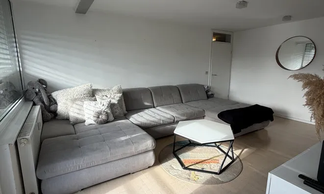 Недвижимость Three-room apartment in Kozje: 7