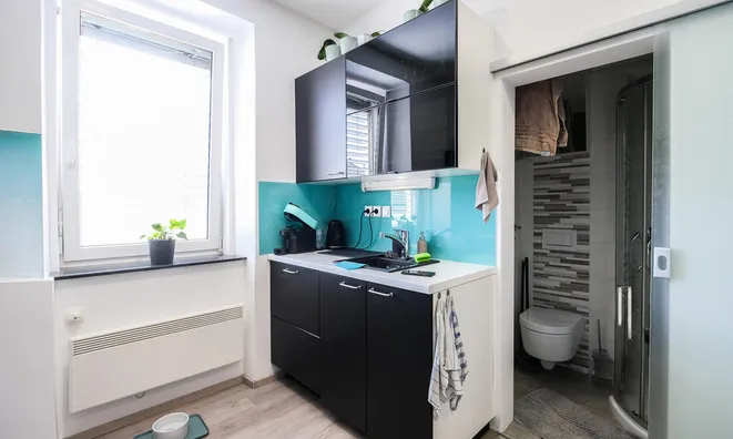 Недвижимость Apartment, 1-room. Novaya Shishka: 5