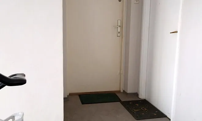 Недвижимость 2.5-room apartment, Shishka: 26