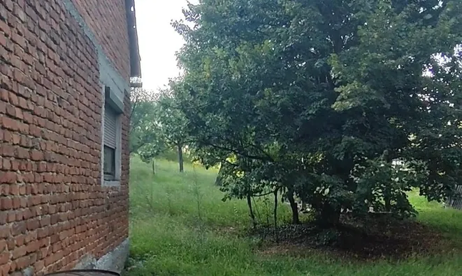 Недвижимость House, Bizeljsko: 4