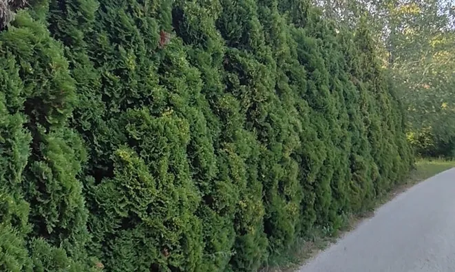 Недвижимость House, Bizeljsko: 9
