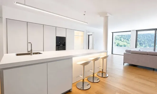 Недвижимость Luxury ground floor in Ordino - El Serrat: 11