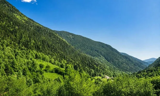 Недвижимость Luxury ground floor in Ordino - El Serrat: 19