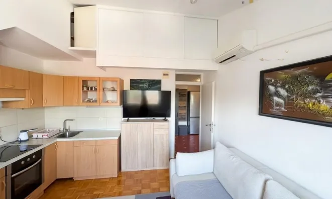 Недвижимость 1.5-room apartment Shishka: 4
