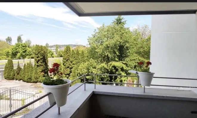 Недвижимость Apartment 2.5 rooms Novo-Trnovo: 4