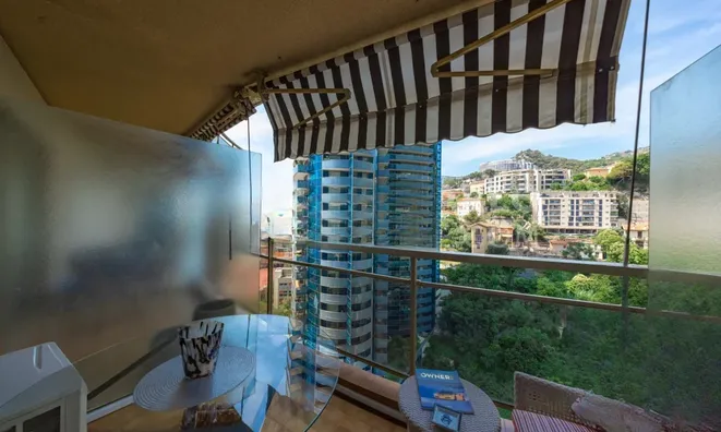 Недвижимость Apartment Monaco, La Rousse: 8